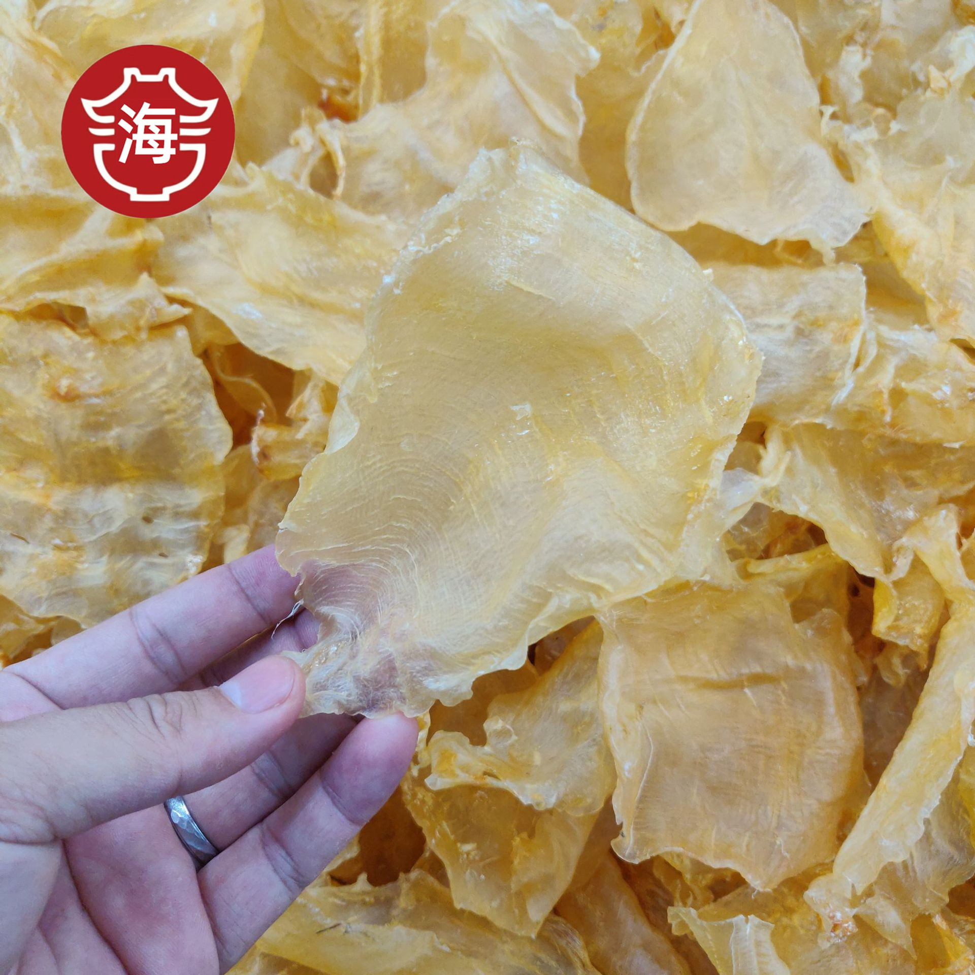 顺风肚 足干高泡发率海鲜干货超越黄花胶黄花筒鱼胶干货顺风胶