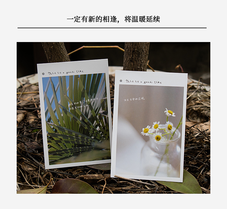 青禾纪 这是美好的时辰明信片 文艺学生礼物留言祝贺卡片批发