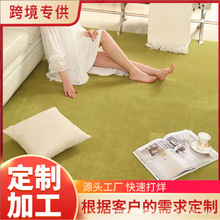 北欧地毯卧室床边毯客厅地毯毛绒房间满铺沙发茶几毯加厚简约家用