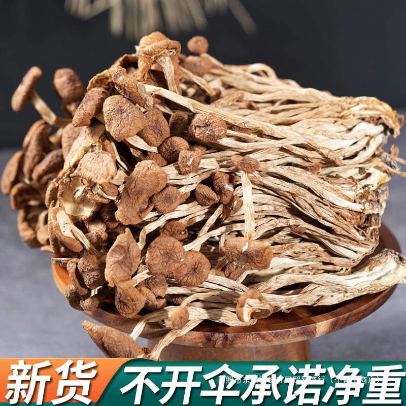 新货食材500g干货特产干茶树菇干货2023年新鲜菌菇煲汤食材东北