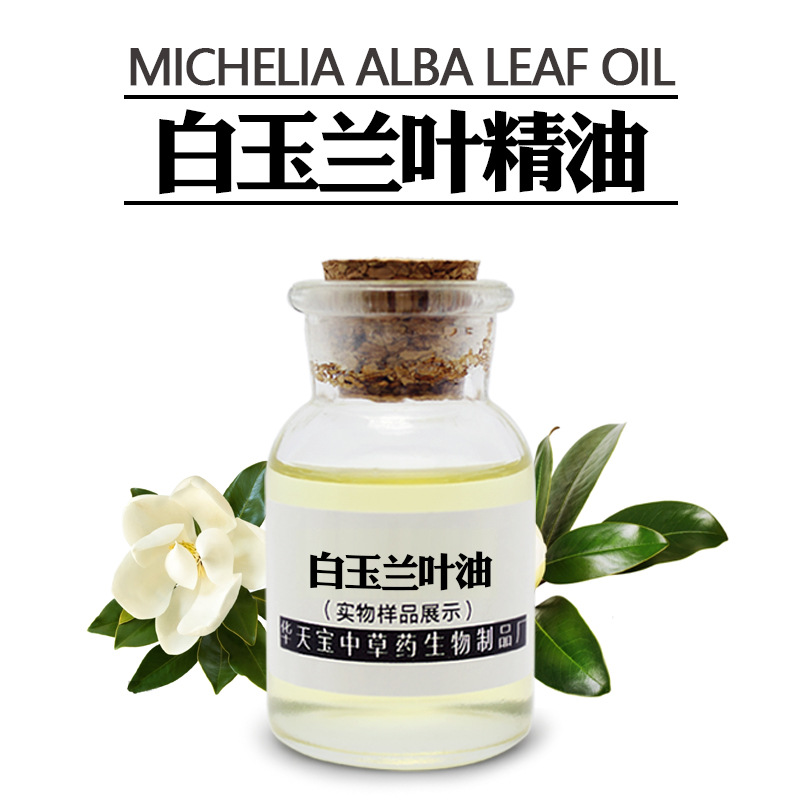 白玉兰叶精油 1kg 蒸馏提取白兰叶油 玉兰叶精油 天然植物精油