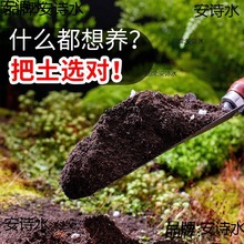 土大量批发花泥养花种菜通用型家用花花土泥土土壤多肉种植土批