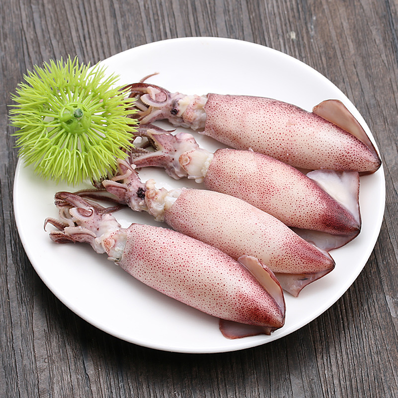 满籽墨鱼仔海兔子新鲜海兔鲜活带籽笔管鱼大乌贼籽乌鱿鱼海鲜水产