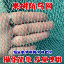 防鸟纱网防小鸟用的嘉宝果树网罩防虫果园丝网樱桃单棵树无花杨梅