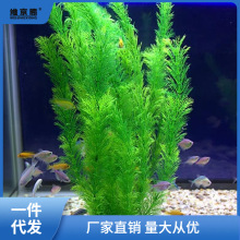 假水草大小鱼缸装饰仿真假花草水族箱造景饰品小花小草微景观摆件