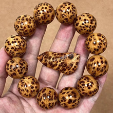 dota2 蚂蚁/纯正 黯然飞灭/蚂蚁不朽/编织者/不朽