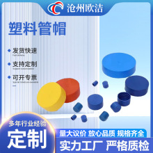 钢管塑料堵盖圆形防尘螺纹蓝色钢筋保护套管子内塞封头堵头管帽