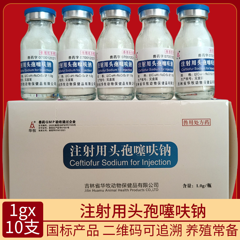 兽药兽用1g注射用头孢噻呋钠呼吸道病产后感染蹄叶炎胸膜肺炎国标