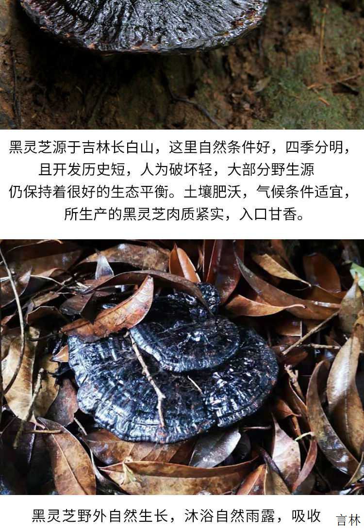 正宗纯野外长白山野外黑灵芝非紫灵芝可切片整朵整枝干货