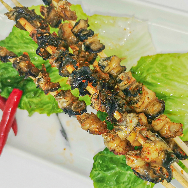 老乡草田螺串 烧烤半成品 冷冻螺蛳串 户外铁板食材约25串 一包