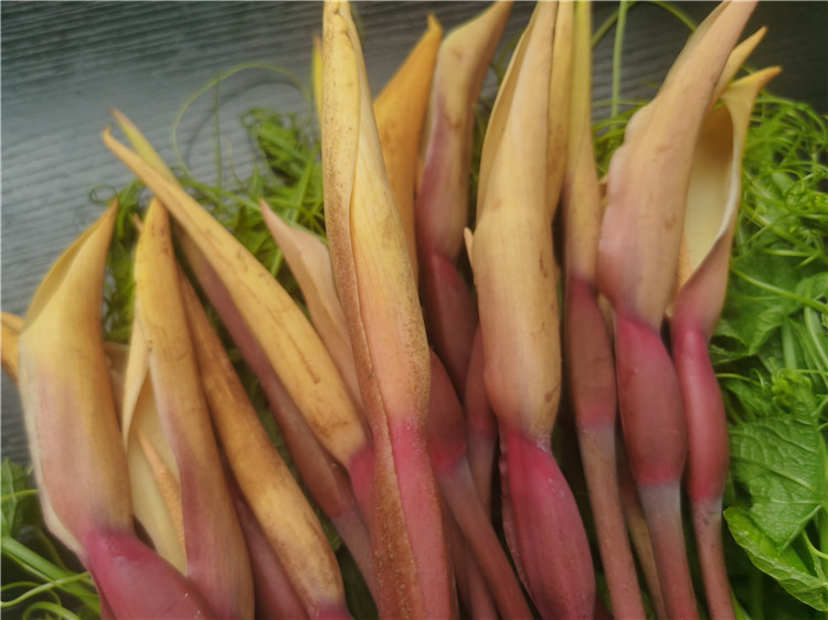 芋头花舌尖云南特产美食芋头芋荷花紫芋头花 新鲜现货包邮下饭菜