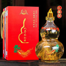 酒仙草云南九龙草酒仙草中药绿珊瑚撒花一颗针泡酒料酒太平仙草酒