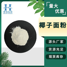 99%椰子面粉 生酮饮食烘焙原料椰子纤维面粉源头厂家现货椰子面粉