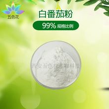 白番茄粉99% 水溶性 白番茄提取物 白番茄果粉 量大从优 现货包邮