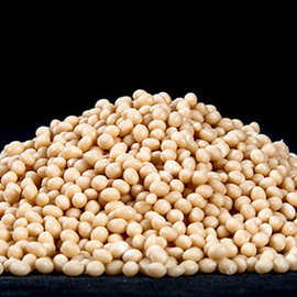 波士胶bostik 家具木工胶粘剂,封边热熔胶