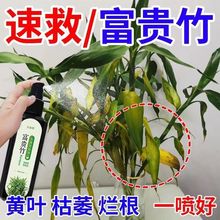 富贵竹专用营养液土培水培盆栽植物通用型花肥花卉治黄叶生根土壤