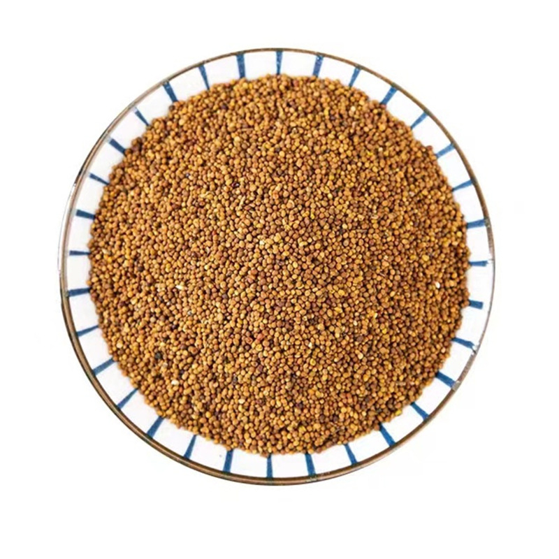 野生菟丝子500g克内蒙兔丝子泡水菟丝子泡茶另售韭菜籽枸杞