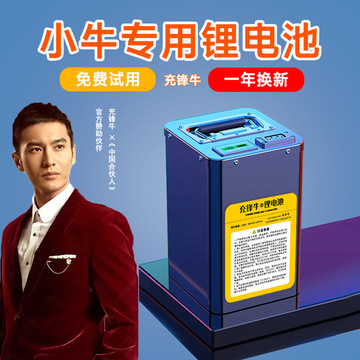 小牛锂电池【全系】直上 n1/n1s/g1/u1/us/m1/m2/f400t非原装电瓶