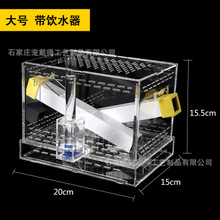 蟋蟀杜比亚活体饲养箱宠戴得饲养盒饲料专业养殖盒便携式亚克力