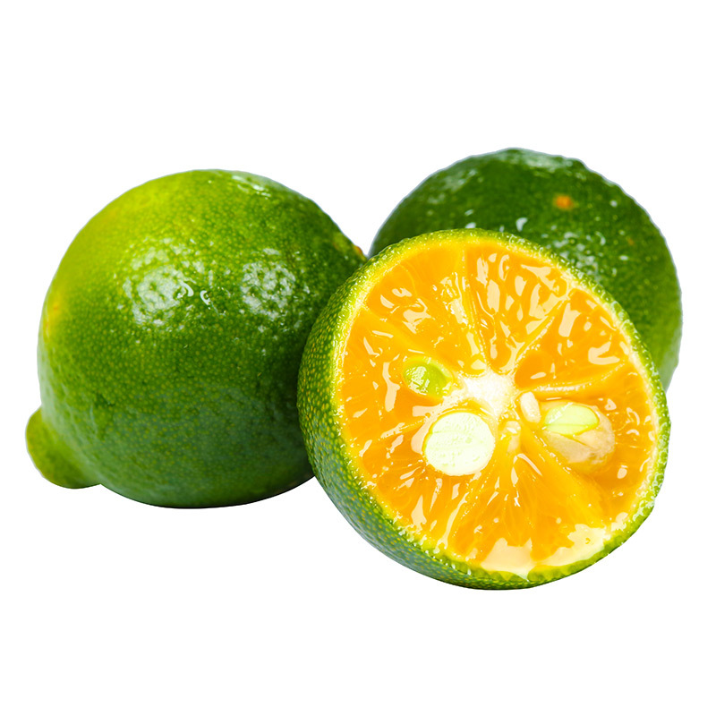 【厂货通】海南小青桔 水果新鲜青金桔酸青橘皮薄汁多奶茶店专用