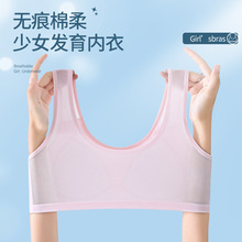新款网布款少女文胸发育期学生运动内衣固定杯网孔透气无痕一体式