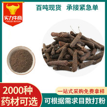 厂家批发荜拨鼠尾散装500g 荜拨毕拨中药材香料调料大全代打粉