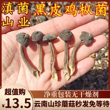 云南黑皮鸡枞菌干货 山珍特产50克装味道鲜蘑菇香菇美食用农产品