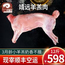 现杀整只羊全羊甘肃靖远羊羔肉半只羊肉新鲜宁夏盐池滩羊肉烤全羊