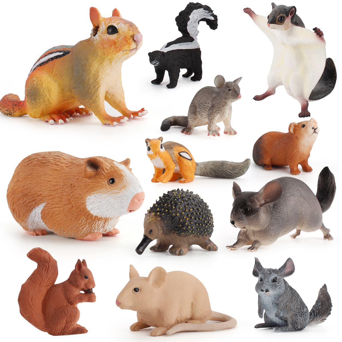 跨境儿童科教仿真野生鼠类动物龙猫松鼠老鼠臭鼬豚鼠摆件模型玩具