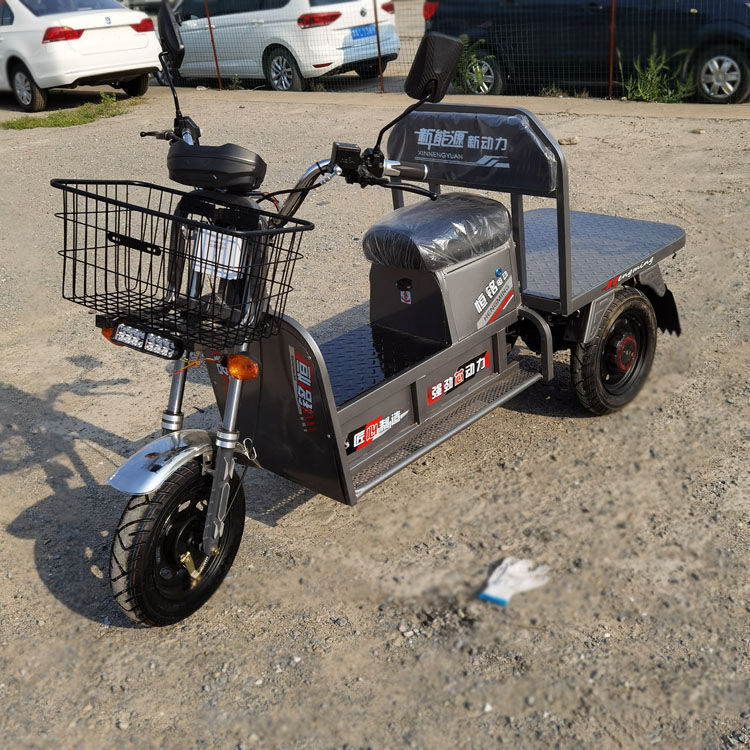 电动带兜三轮车长跑电瓶代步车家用农用货车载重王拉货牛马大力神