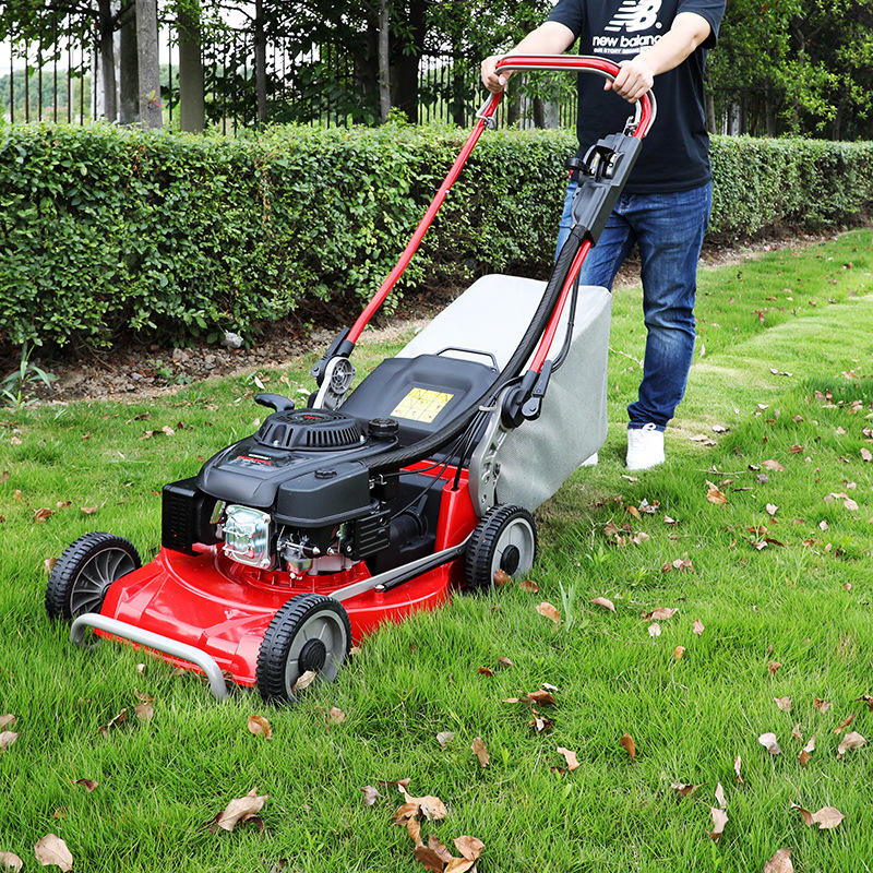 除草机t533gc自走式全自动别墅球场用草坪机汽油手推式割草修剪机
