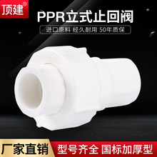 202532PPR止回阀单向阀塑料配件逆止阀4分1寸PPR水管管件配件