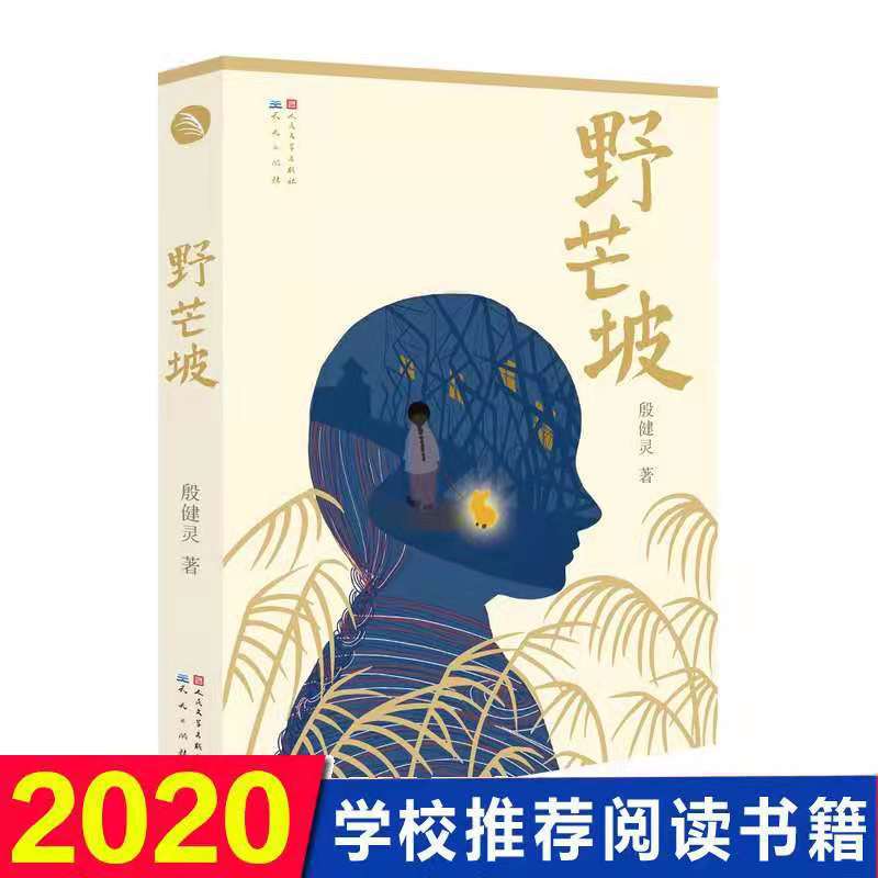 野芒坡 殷健灵 儿童文学获奖作品 2018年中国好书 老师推荐阅读书