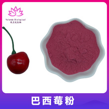 巴西莓粉99% 速溶果汁冲饮粉 调味原料 果蔬代餐 果蔬粉 包邮
