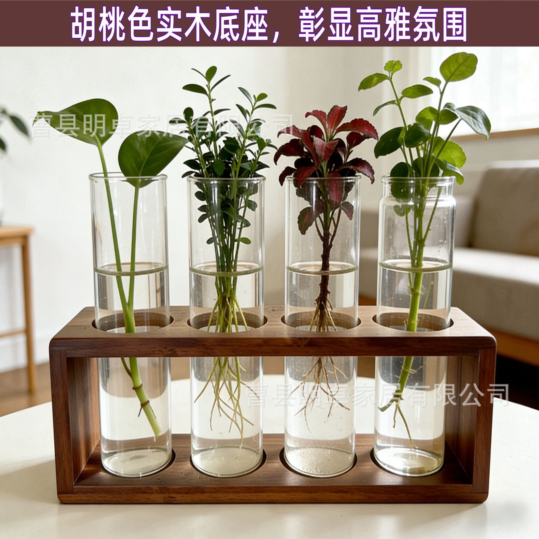 水培植物绿植花卉办公室桌面盆栽创意摆件植物培育试管木质底座