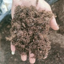 花土批发营养土草炭养花种菜兰花多肉土育苗有机土基质种植泥炭土