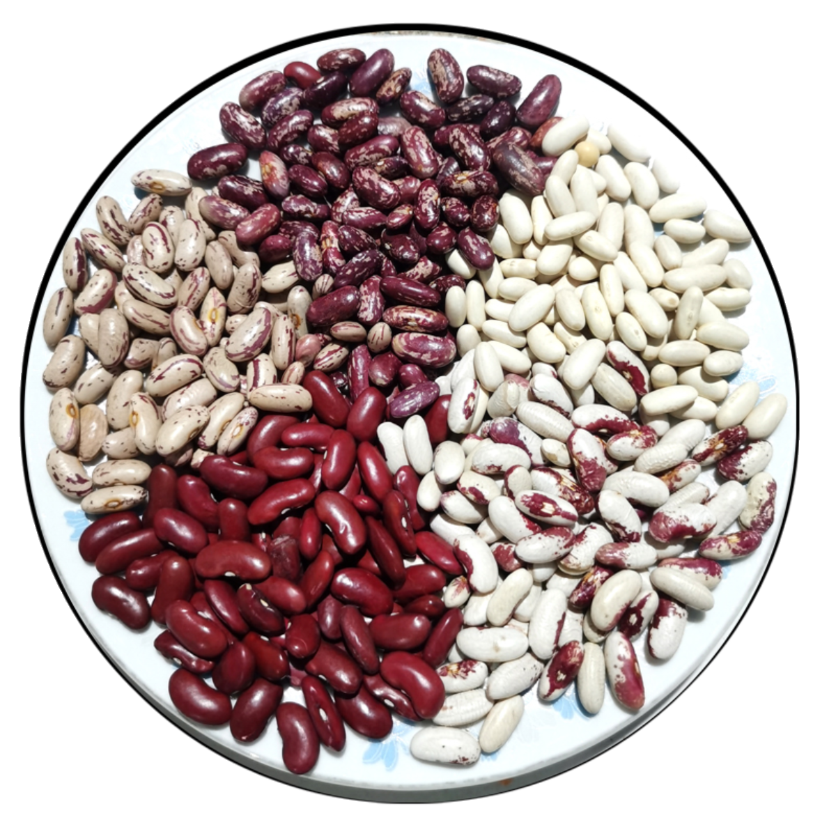 23种豆类自选独立包装杂粮杂豆粗粮黑白花红芸豆菜扁豆鹰嘴豆腰豆