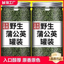 级长白山蒲公英茶叶材人茶搭配金银花贡菊花茶清火