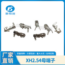 XH2.54 母端子 簧片 2.54mm间距 连接器 接插件 冷端子 压线 端子