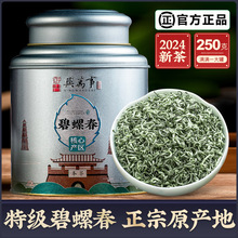 特级明前碧螺春2024年新茶 绿茶苏州开园头采花果香 御兴茶叶250g