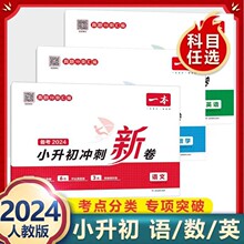 一本备考2024小升初冲刺新卷真题分类汇编名校冲刺模拟试卷语数英