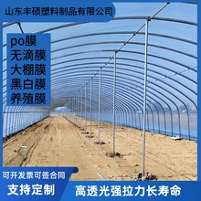 PO膜黑白膜长寿农用透明塑料薄膜塑料布温室农膜无滴15大棚膜20丝