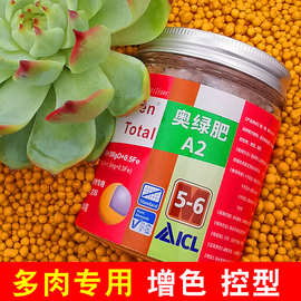 花多多12号生根肉嘟嘟高钾矮胖素通用型即喷水溶肥