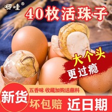 即食活珠子13天新鲜土鸡蛋五香味毛蛋毛鸡蛋喜蛋凤凰蛋钢化蛋商用