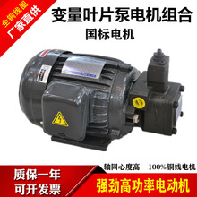 液压电机油泵组合0.75KW/1.5KW/2.2KW配VP20/30/40叶片泵电动总成