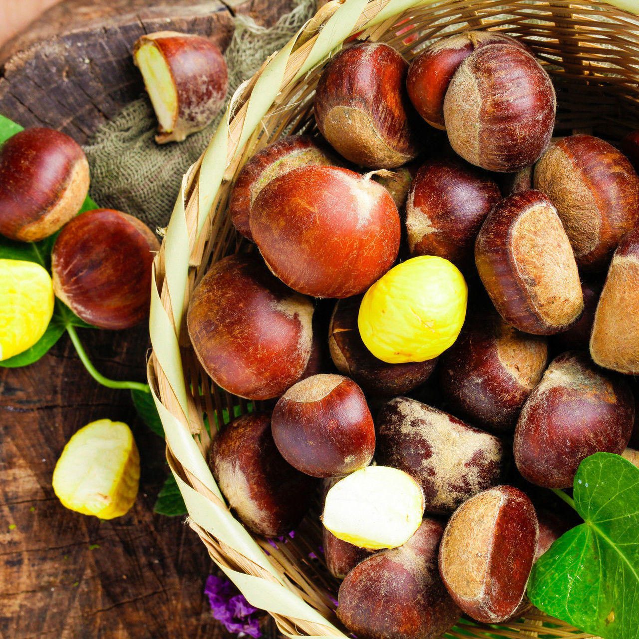 新鲜迁西3113板栗100斤迁西板栗商用批发包邮油栗毛栗现摘批发