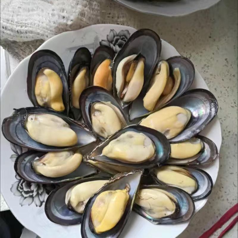 青口贝鲜活大新鲜无沙海虹淡菜贻贝紫口贝贝类整箱海鲜水产现货