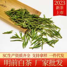 明前白茶整合链接2023新茶上市湖州凤型白茶叶毛峰型绿茶散装批发