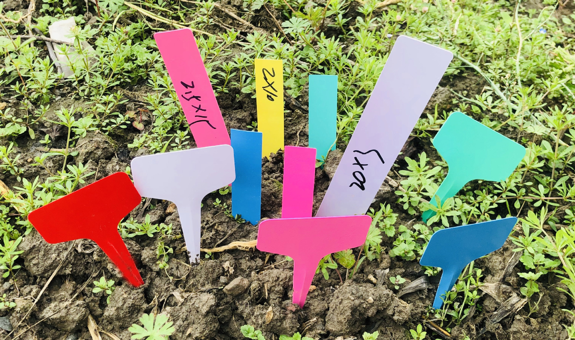 花卉插地牌 园艺标签插地牌 pvc植物插地牌 插地标签牌100张/捆