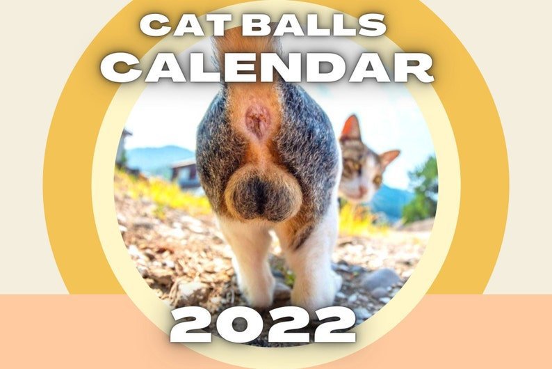 跨境新品cats buttholes calendar2022年猫屁股日历创意治愈摆件